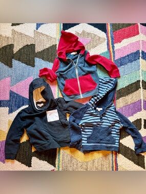 (3) Tucker + Tate Hoodie Sweatshirts - 3T